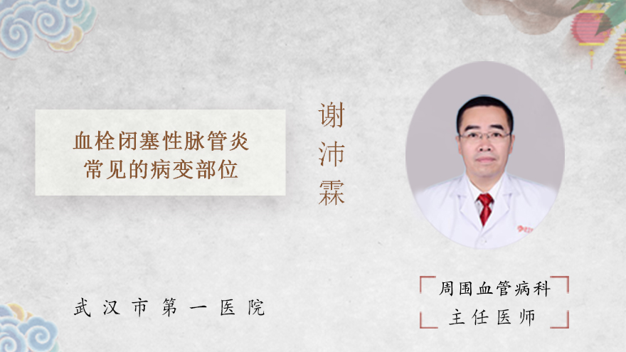 血栓闭塞性脉管炎常见的病变部位