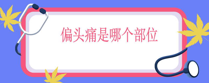 偏头痛是哪个部位