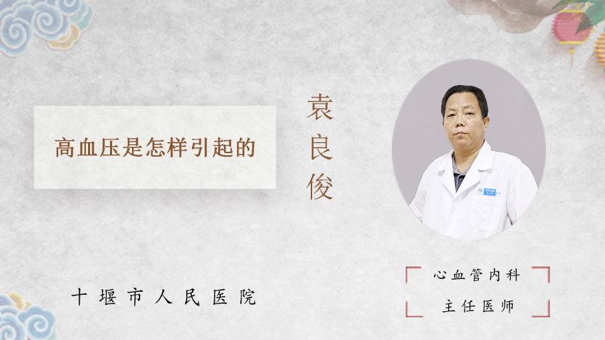 高血压是怎样引起的