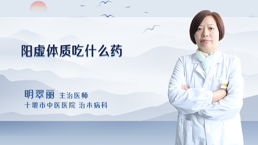 阳虚体质吃什么药