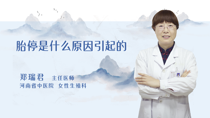 胎停是什么原因引起的