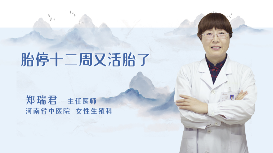 胎停十二周又活胎了