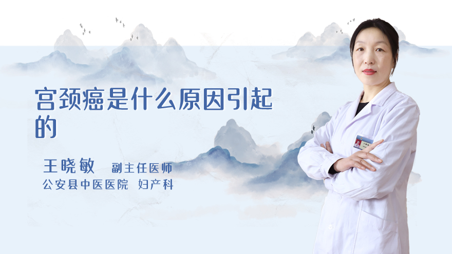 宫颈癌是什么原因引起的