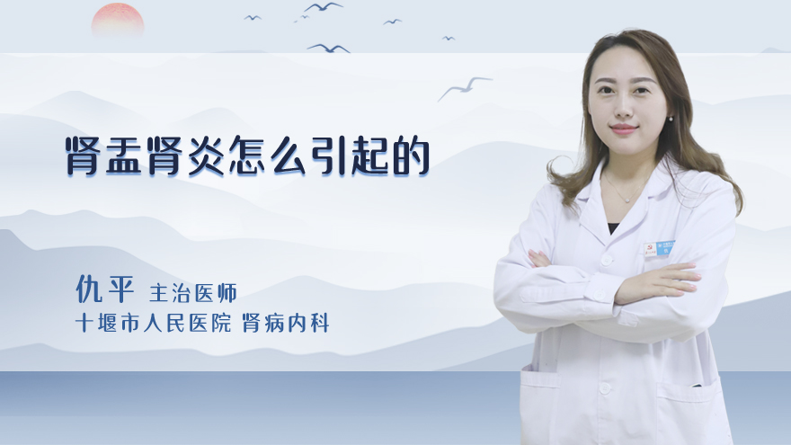 肾盂肾炎怎么引起的