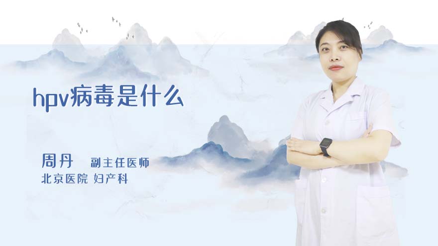hpv病毒是什么