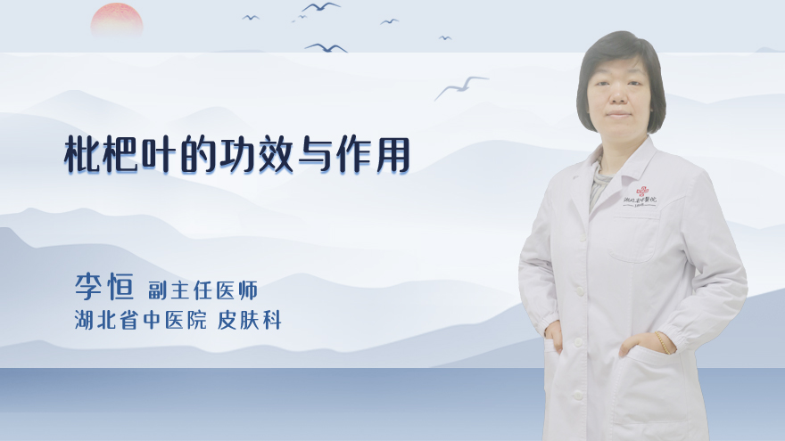 枇杷叶的功效与作用
