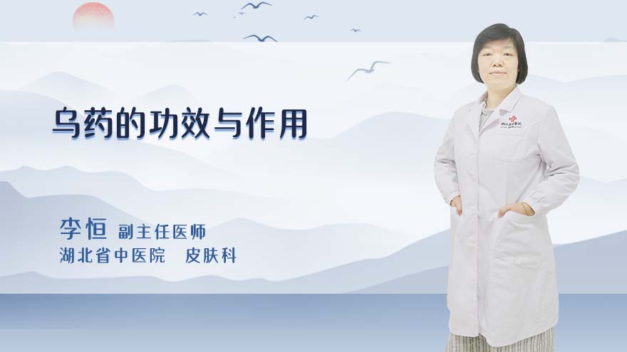 乌药的功效与作用