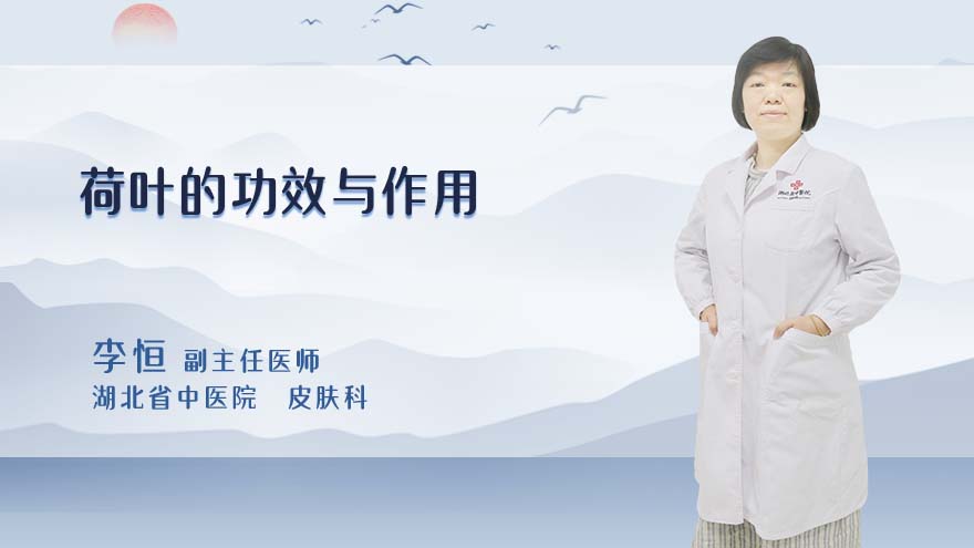 荷叶的功效与作用