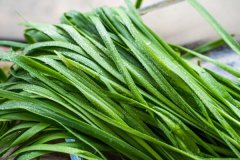 孕妇能吃韭菜吗，孕妇可以吃荠菜吗
