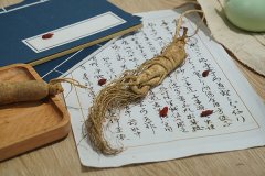 人参枸杞子泡酒的功效与作用，黄芪人参泡酒的功效与作用