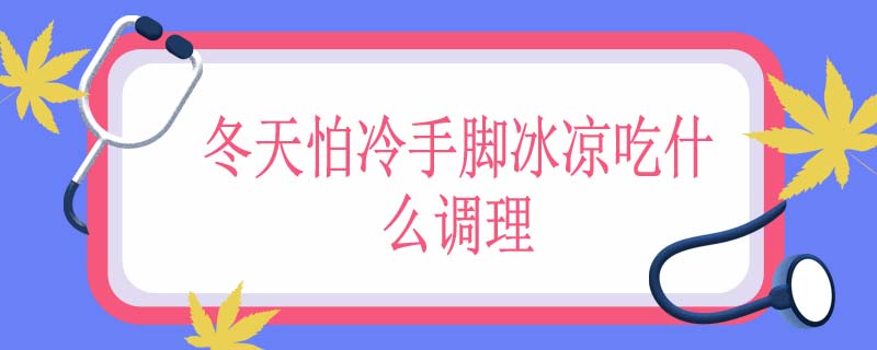 冬天怕冷手脚冰凉吃什么调理