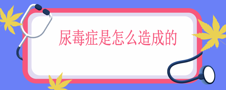 尿毒症是怎么造成的