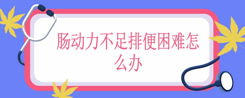 肠动力不足排便困难怎么办
