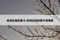 非洲壮阳的果子,非洲壮阳的果子有哪些