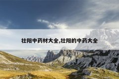 壮阳中药材大全,壮阳的中药大全