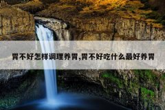 胃不好怎样调理养胃,胃不好吃什么最好养胃