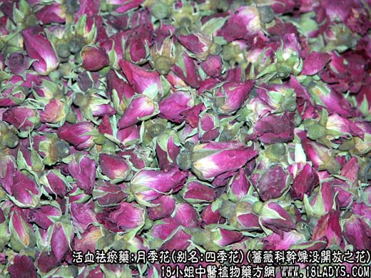 中药大全：月季花