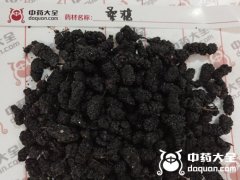 桑椹子(中草药名称:桑果)(科目:桑科)