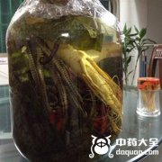 最猛壮阳酒的配方，历代帝王特效壮阳酒配方