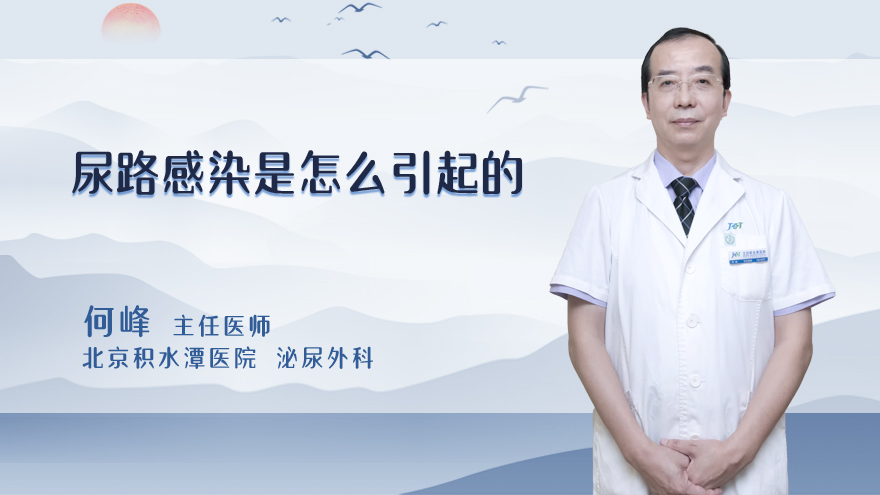 尿路感染是怎么引起的