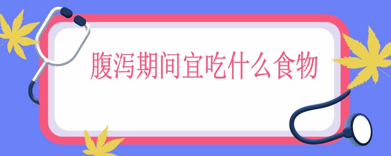 腹泻期间宜吃什么食物