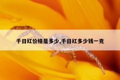 千日红价格是多少,千日红多少钱一克