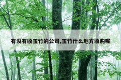 有没有收玉竹的公司,玉竹什么地方收购呢