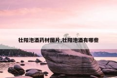 壮阳泡酒药材图片,壮阳泡酒有哪些