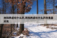 <b>阴阳两虚吃什么药,阴阳两虚吃什么药效果最好男</b>