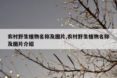 农村野生植物名称及图片,农村野生植物名称及图片介绍