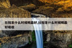 <b>壮阳茶什么时候喝最好,壮阳茶什么时候喝最好吸收</b>