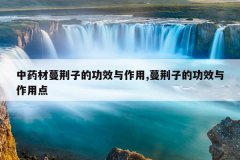 中药材蔓荆子的功效与作用,蔓荆子的功效与作用点