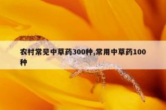 农村常见中草药300种,常用中草药100种