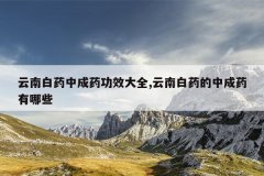 <b>云南白药中成药功效大全,云南白药的中成药有哪些</b>