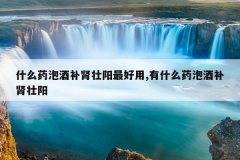 <b>什么药泡酒补肾壮阳最好用,有什么药泡酒补肾壮阳</b>