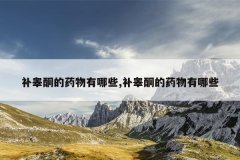 补睾酮的药物有哪些,补睾酮的药物有哪些