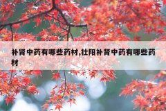 <b>补肾中药有哪些药材,壮阳补肾中药有哪些药材</b>