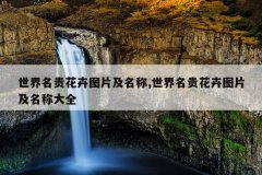 <b>世界名贵花卉图片及名称,世界名贵花卉图片及名称大全</b>