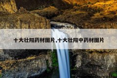 <b>十大壮阳药材图片,十大壮阳中药材图片</b>