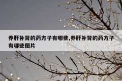 <b>养肝补肾的药方子有哪些,养肝补肾的药方子有哪些图片</b>