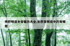 养肝明目补肾偏方大全,补肝肾明目中药有哪些