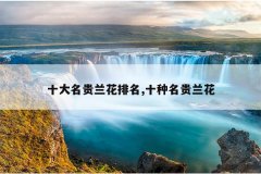 十大名贵兰花排名,十种名贵兰花