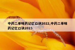 中药二单味药记忆口诀2022,中药二单味药记忆口诀2023