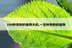 <b>100种带刺的植物大的,一百种带刺的植物</b>