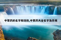<b>中草药的名字和功效,中草药大全名字及作用</b>