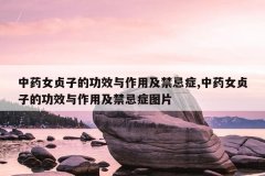 <b>中药女贞子的功效与作用及禁忌症,中药女贞子的功效与作用及禁忌症图片</b>