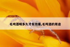 毛鸡酒喝多久才有效果,毛鸡酒的用途