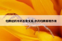 <b>归脾经的中药百度文库,中药归脾原理作用</b>