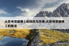 <b>火炭母煲猪横脷的功效与作用,火炭母煲猪横脷的做法</b>