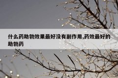 <b>什么药助勃效果最好没有副作用,药效最好的助勃药</b>
